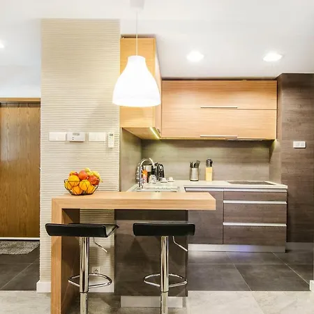 Lupoapartments Kosynierow Klimatyzacja Dostep Na Kod * 罗兹