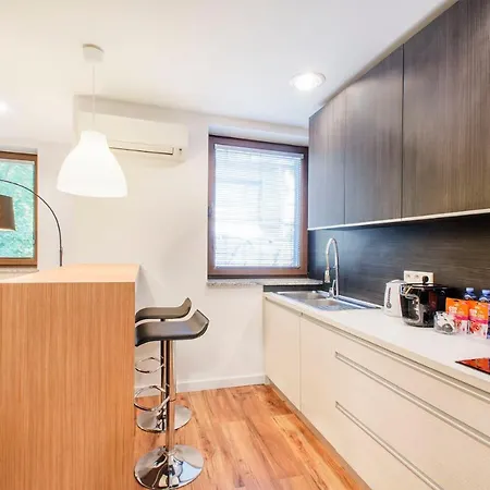 Lupoapartments Kosynierow Klimatyzacja Dostep Na Kod Łódź