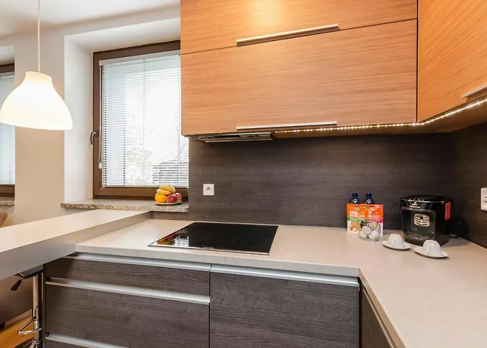 Appartement Lupoapartments Kosynierow Klimatyzacja Dostep Na Kod Łódź