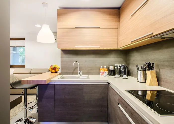 Lupoapartments Kosynierow Klimatyzacja Dostep Na Kod *