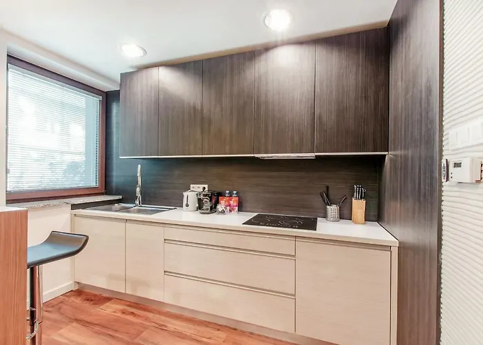 Lejlighed Lupoapartments Kosynierow Klimatyzacja Dostep Na Kod *