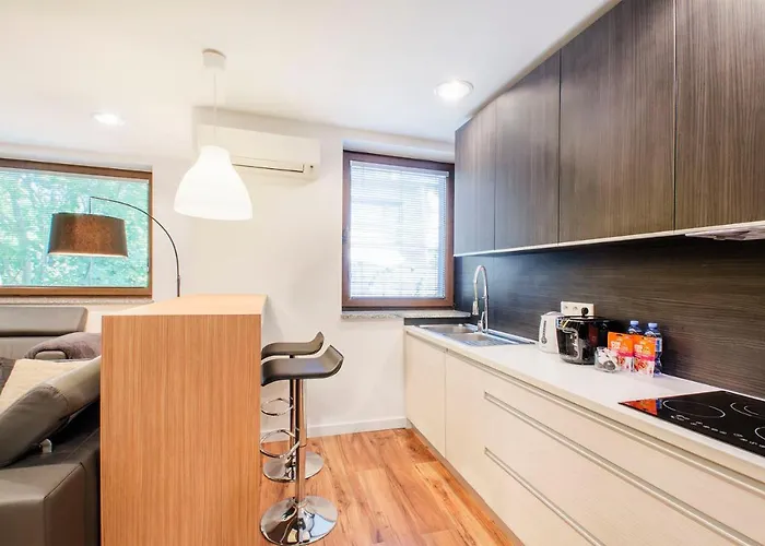 Lupoapartments Kosynierow Klimatyzacja Dostep Na Kod Лодзь